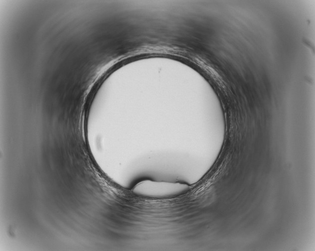 X0000096221272200802081517