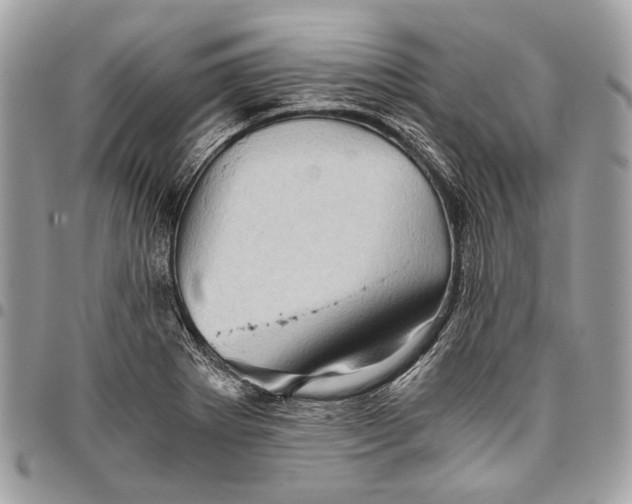 X0000096221273200802081517