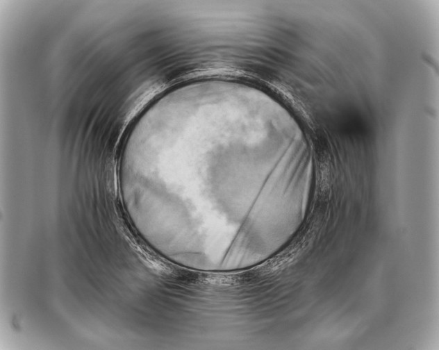 X0000096221274200802081517