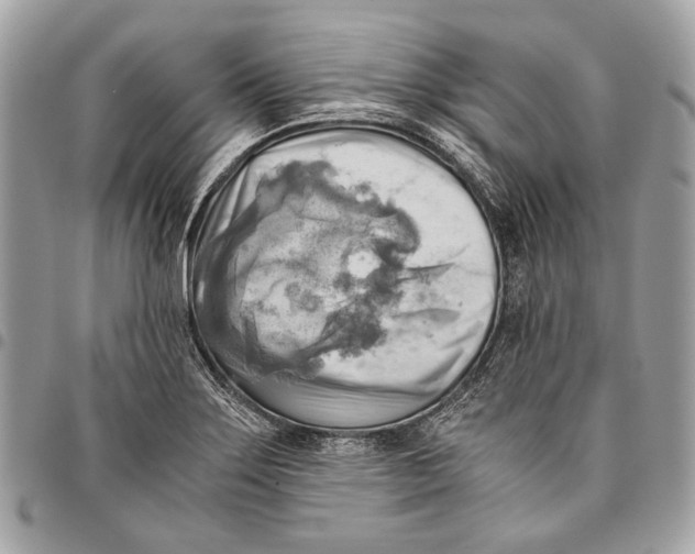 X0000096221275200802081517