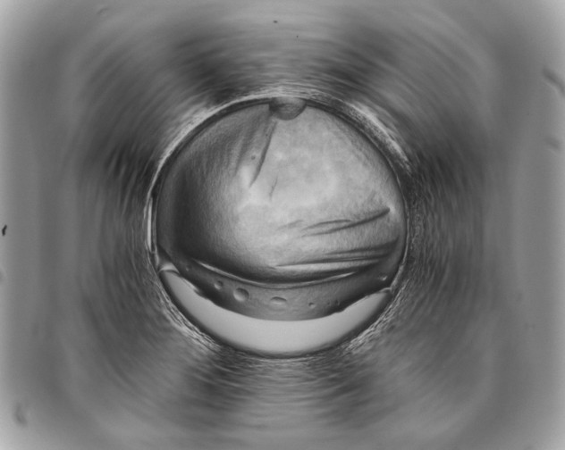 X0000096221276200802081517