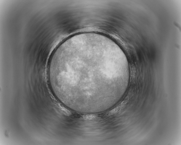 X0000096221278200802081517