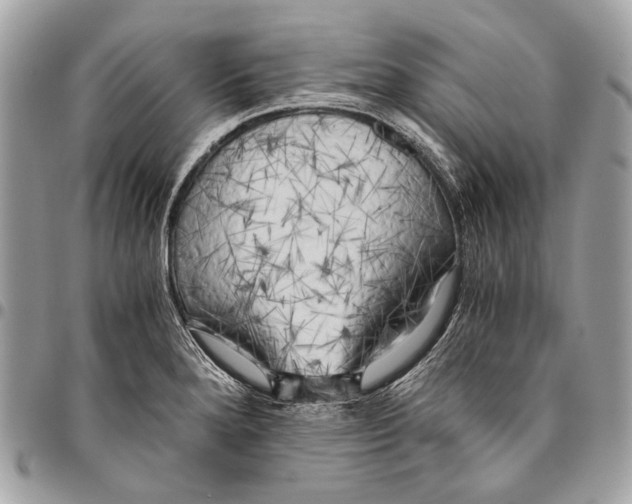 X0000096221280200802081517