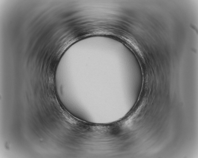 X0000096221281200802081517