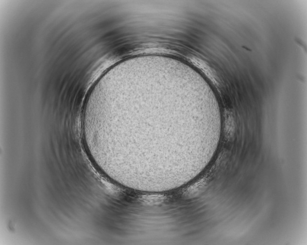 X0000096221282200802081517