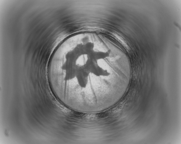 X0000096221283200802081517