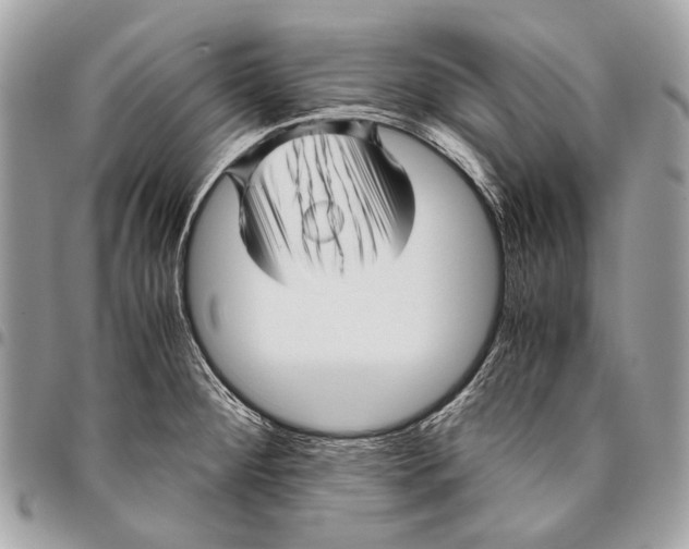 X0000096221284200802081517