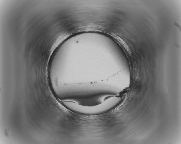 X0000096221285200802081517