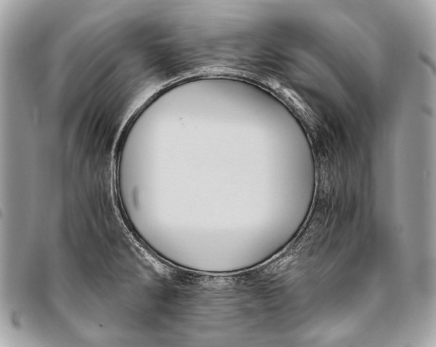 X0000096221286200802081517