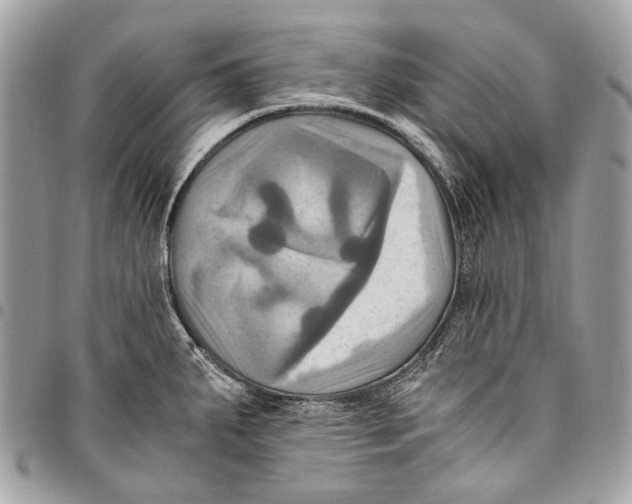 X0000096221287200802081517