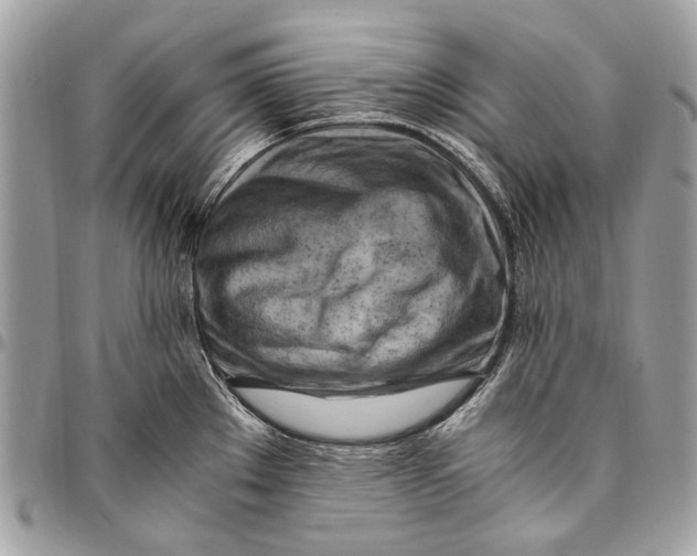 X0000096221289200802081517