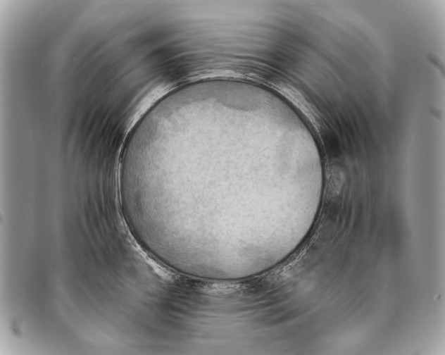 X0000096221290200802081517