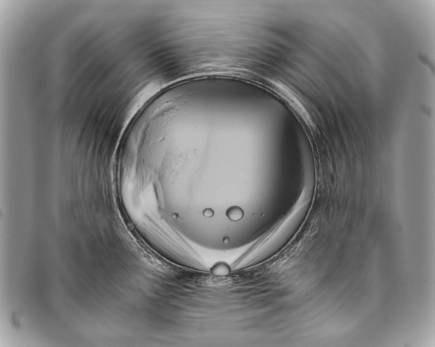 X0000096221291200802081517