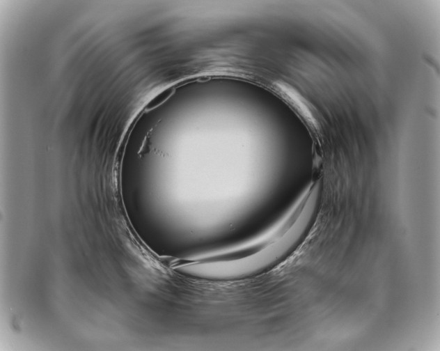 X0000096221292200802081517