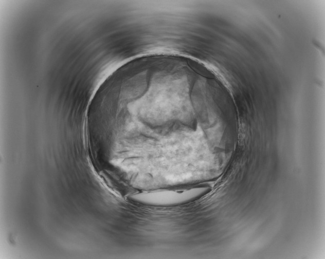 X0000096221295200802081517