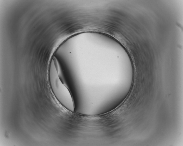 X0000096221296200802081517