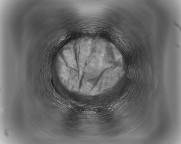 X0000096221297200802081516