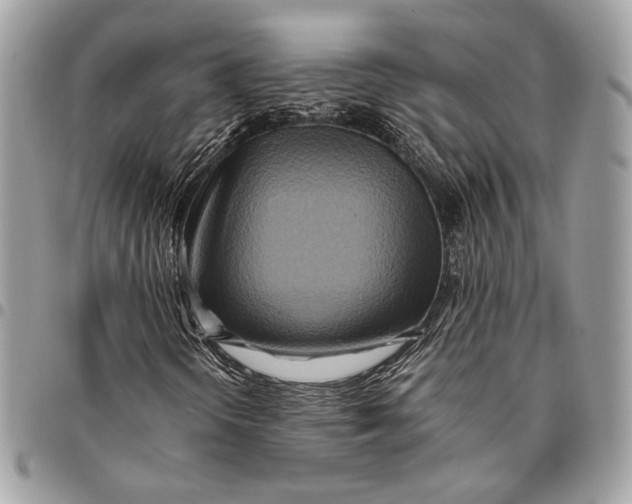 X0000096221298200802081516