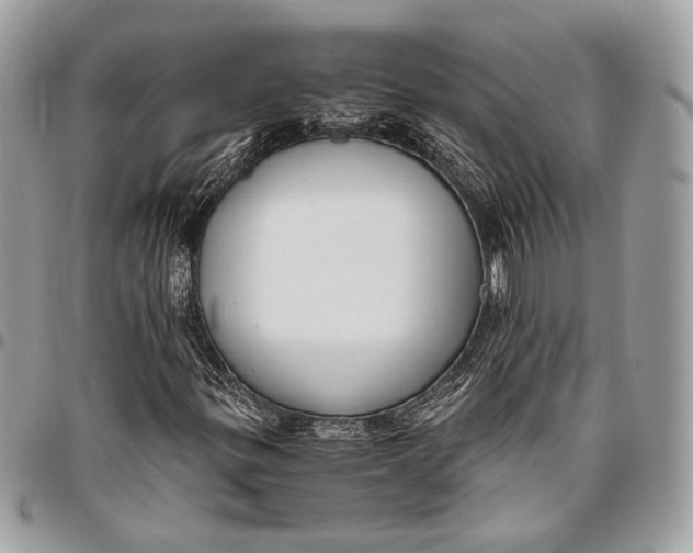 X0000096221299200802081516