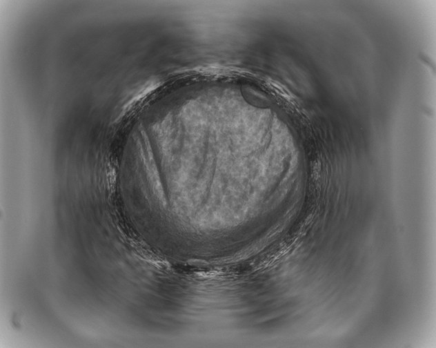 X0000096221302200802081516