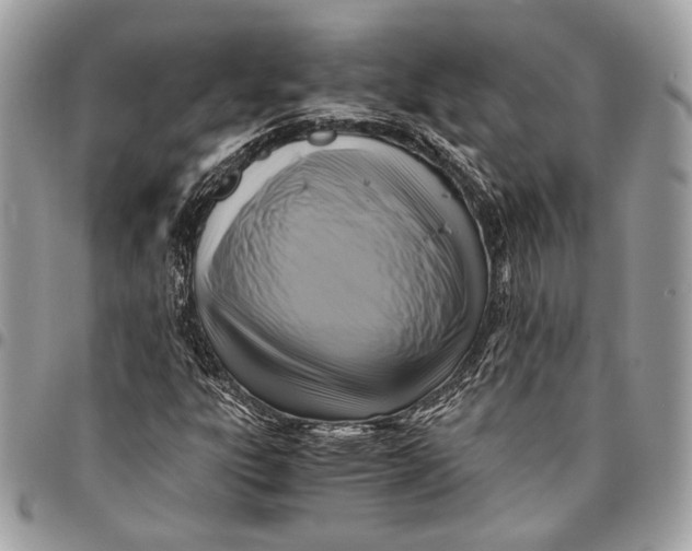 X0000096221303200802081516