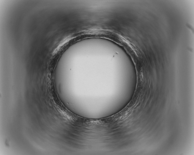 X0000096221304200802081516