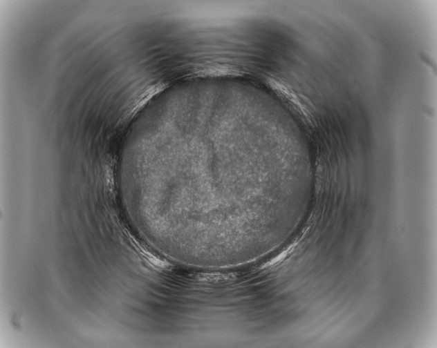 X0000096221305200802081516