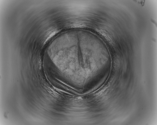 X0000096221306200802081516