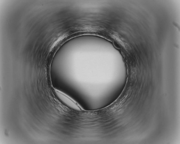 X0000096221307200802081516