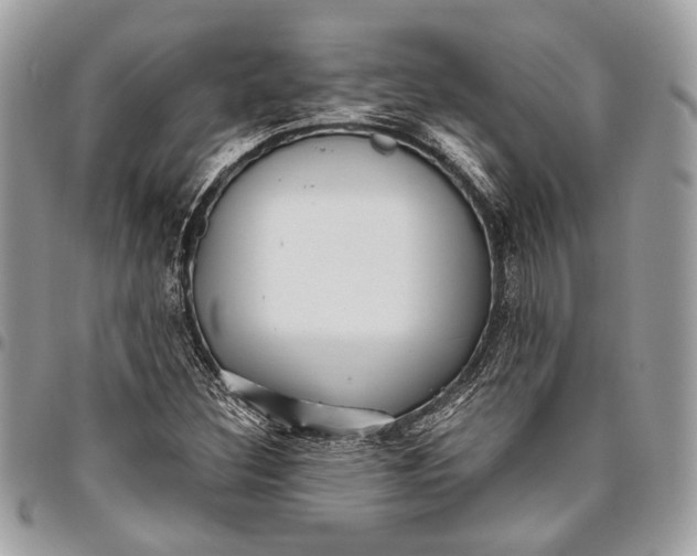 X0000096221308200802081516