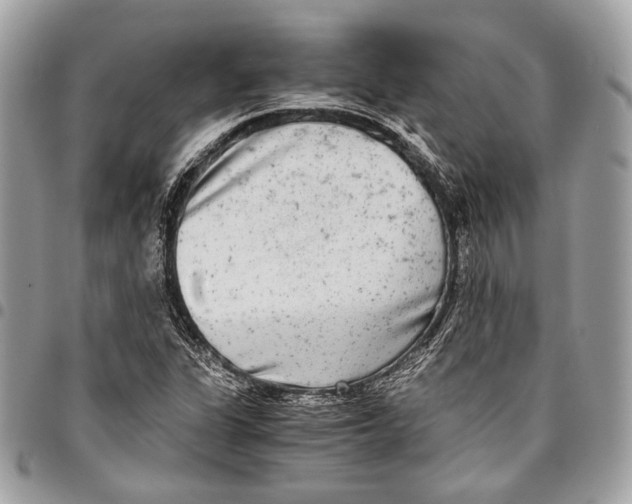 X0000096221311200802081516