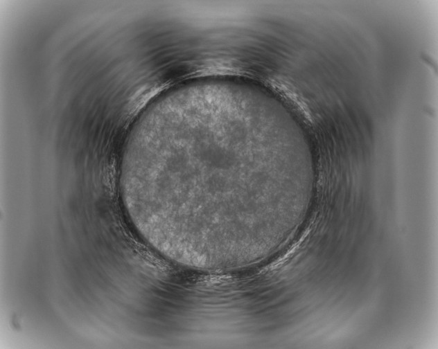 X0000096221313200802081516