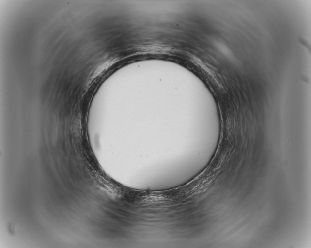 X0000096221315200802081516