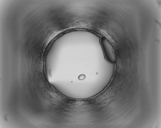 X0000096221316200802081516