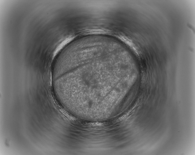 X0000096221317200802081516