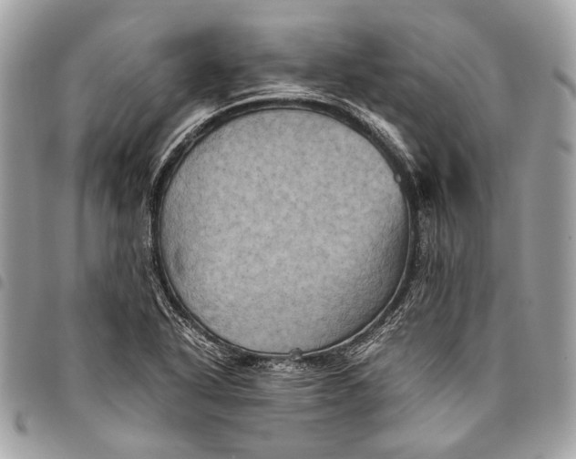 X0000096221318200802081516