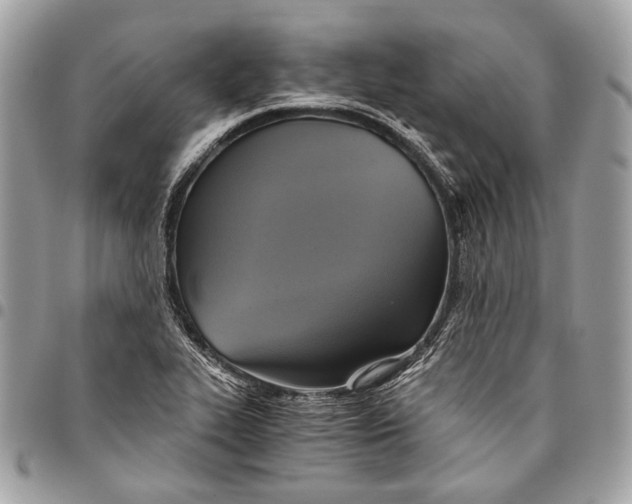 X0000096221319200802081516