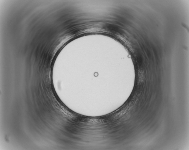 X0000096221322200802081516