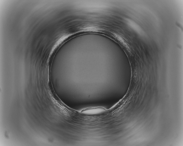 X0000096221323200802081516