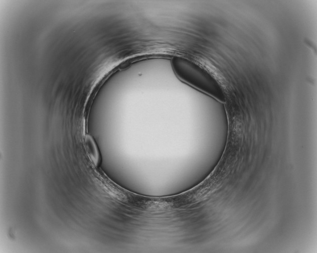 X0000096221324200802081516