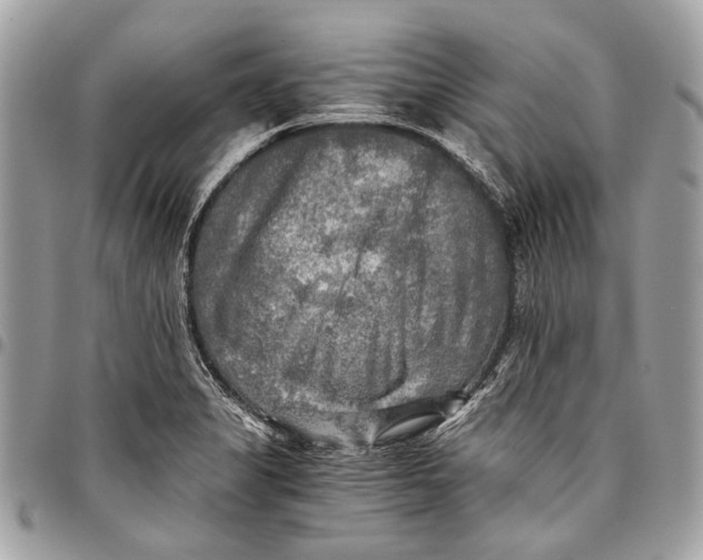 X0000096221325200802081516