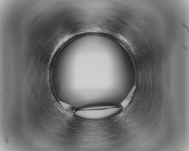 X0000096221326200802081516