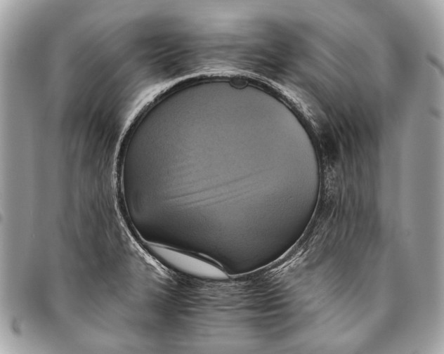 X0000096221327200802081516