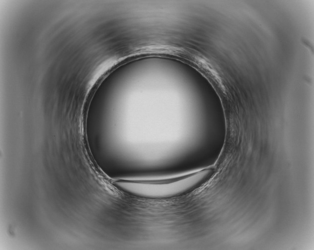 X0000096221328200802081516