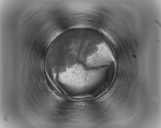 X0000096221329200802081516