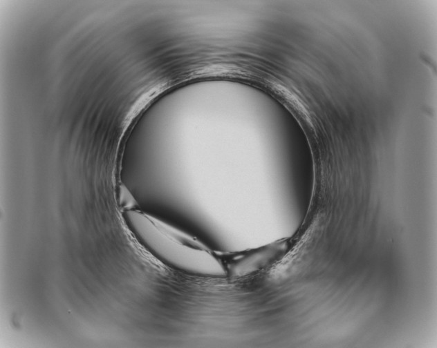 X0000096221330200802081516