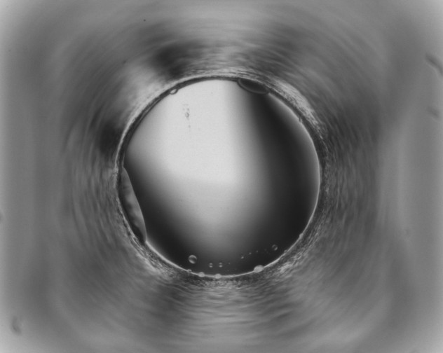 X0000096221332200802081516