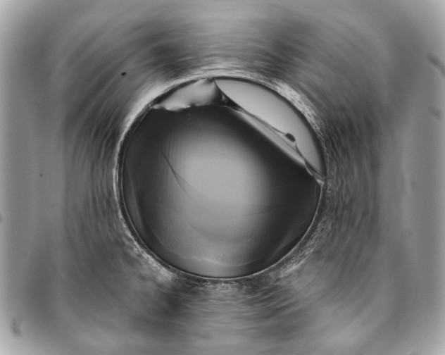 X0000096221334200802081516