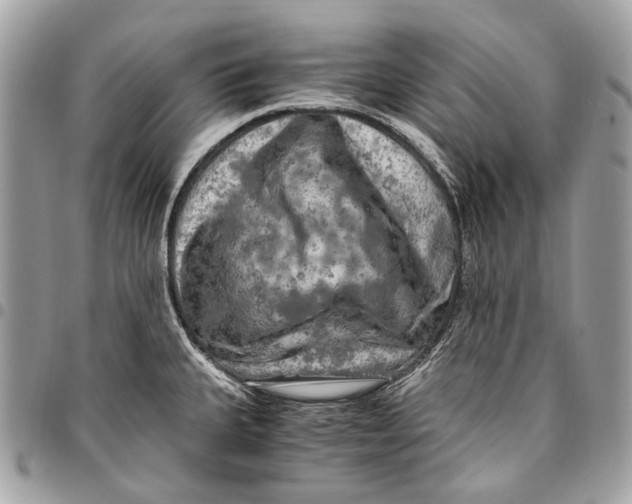 X0000096221335200802081517