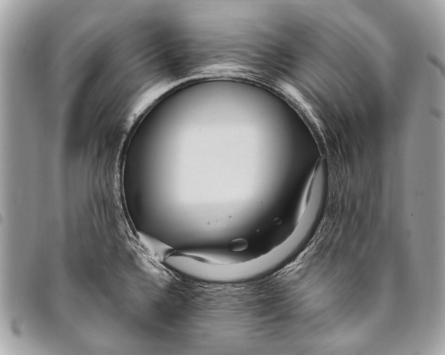 X0000096221336200802081517